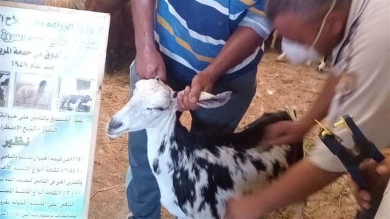 تحصين ١٢٢ الفًا و٩٣٠