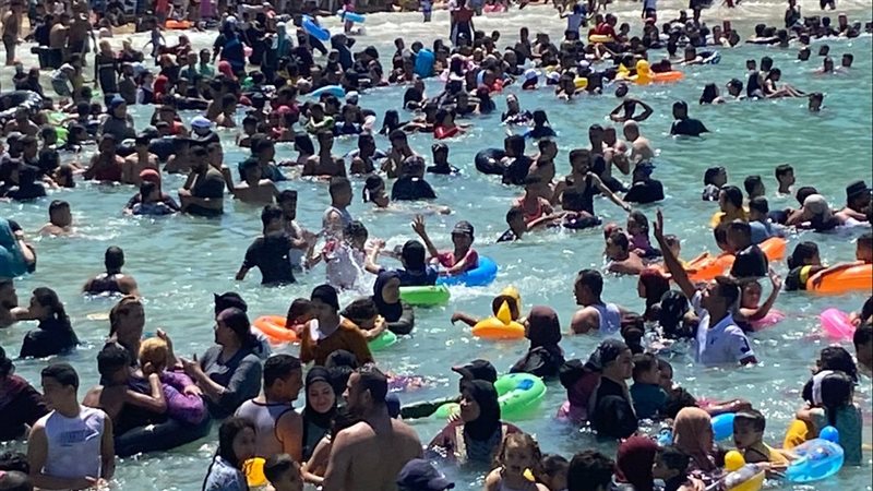 شواطيء الإسكندرية