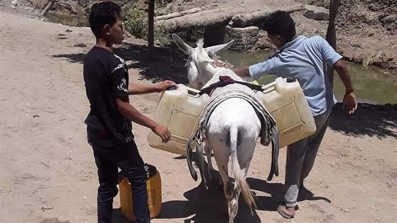 شراء مياه الشرب 