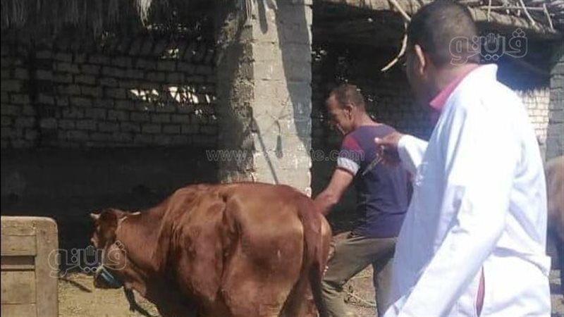 حملة بيطرية ببني