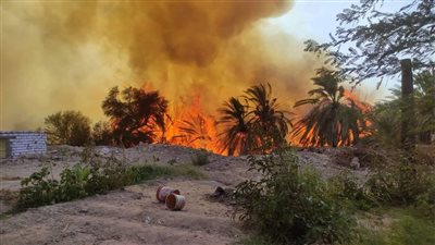 بالأسماء.. 10 مصابين باختناقات في حريق الراشدة بالوادي الجديد