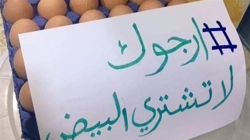 حملات مقاطعة البيض