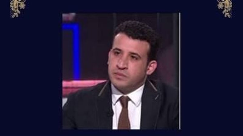 عمرو فتوح، نائب لجنة