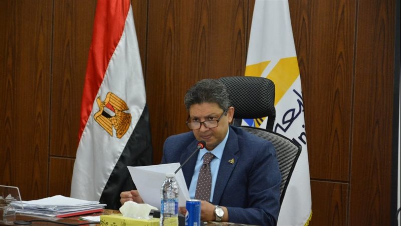 د. السيد دعدور رئيس