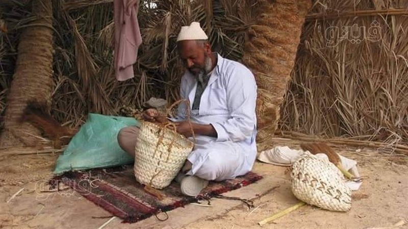 جانب من المشاركة
