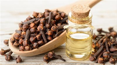 فوائد القرنفل للأسنان.. لمرضى السكري واضطرابات الجهاز الهضمي