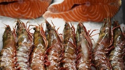 مصادرة 3.5 طن جمبرى وأرز فاسدة داخل مطعم شهير للوجبات الجاهزة بالقاهرة