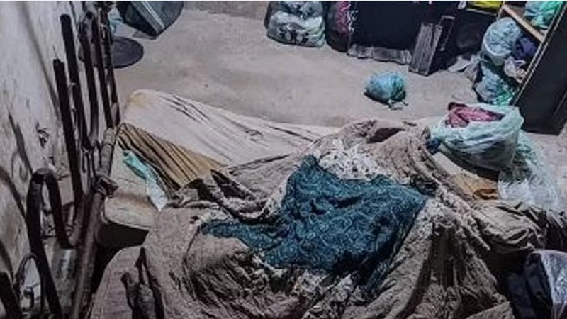هنا عاش أفراد العائلة