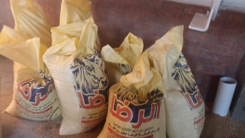 المضبوطات