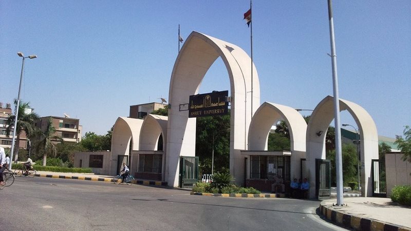 جامعة اسيوط