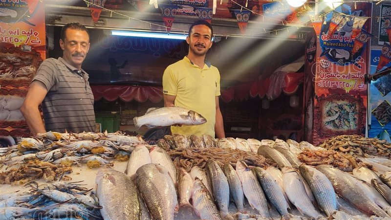 اسعار الاسماك