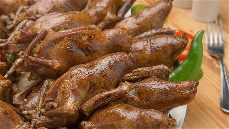 تفسير حلم أكل الحمام