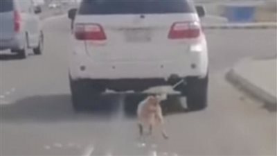 حجز المتهم بتقييد كلب بواسطة حبل وسحبه بسيارته في التجمع