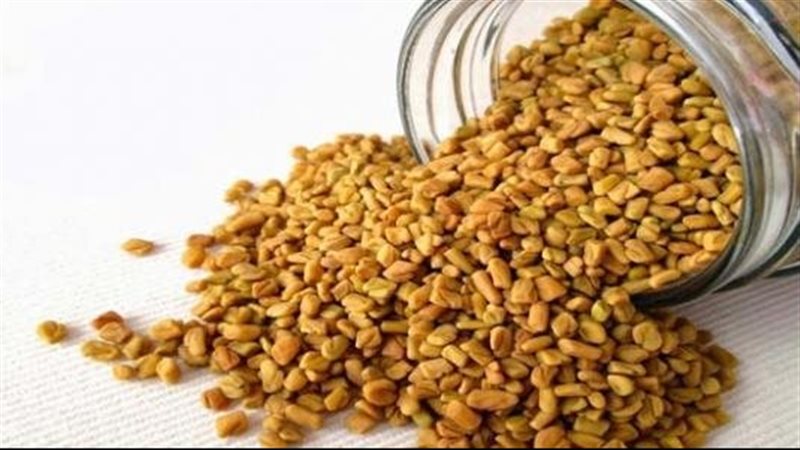 فوائد الحلبة