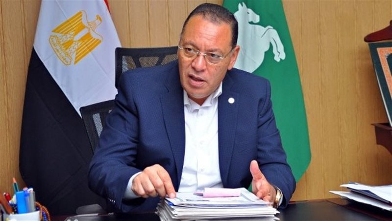 محافظ الشرقية