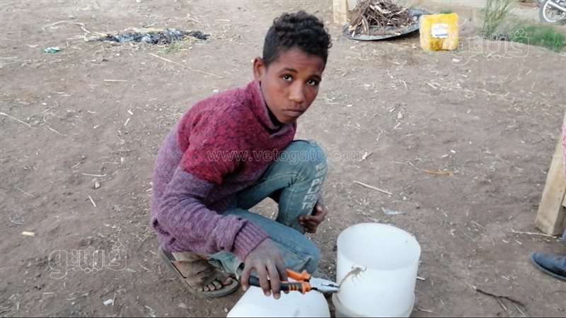 اطفال العقارب في