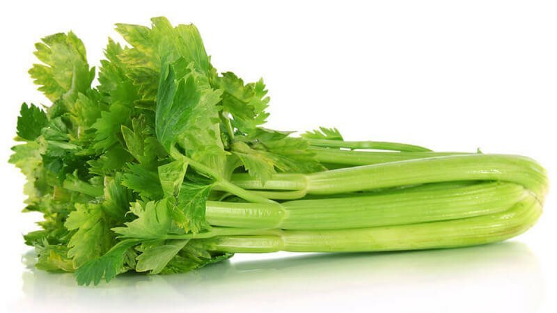 تفسير رؤية الكرفس