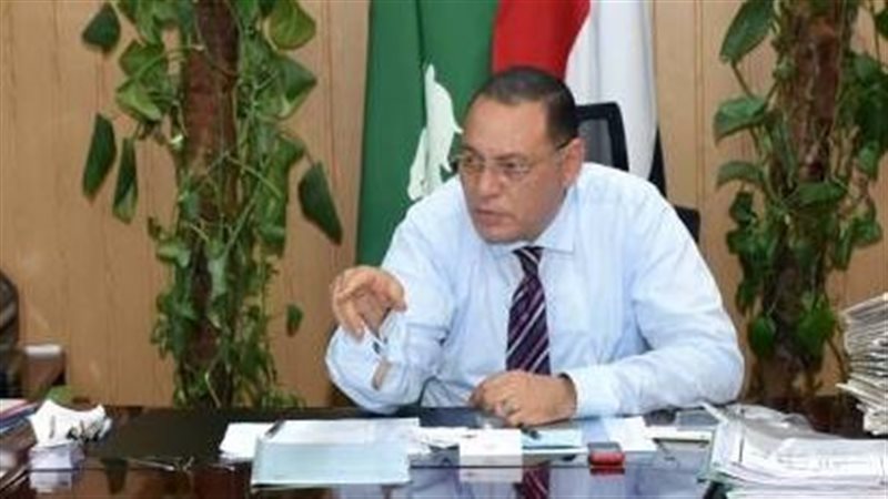 محافظ الشرقية