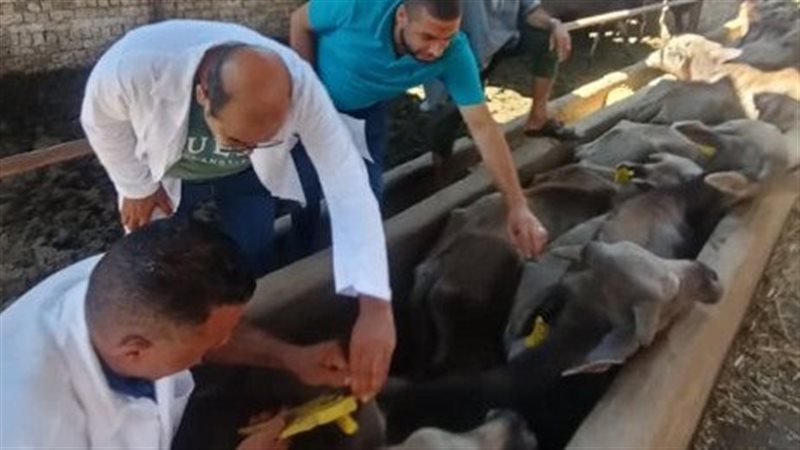 التأمين الصحي على