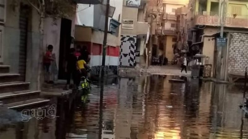 قرية ميت حبيش بالغربية